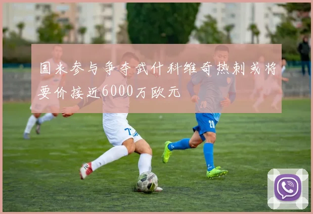 国米参与争夺武什科维奇热刺或将要价接近6000万欧元